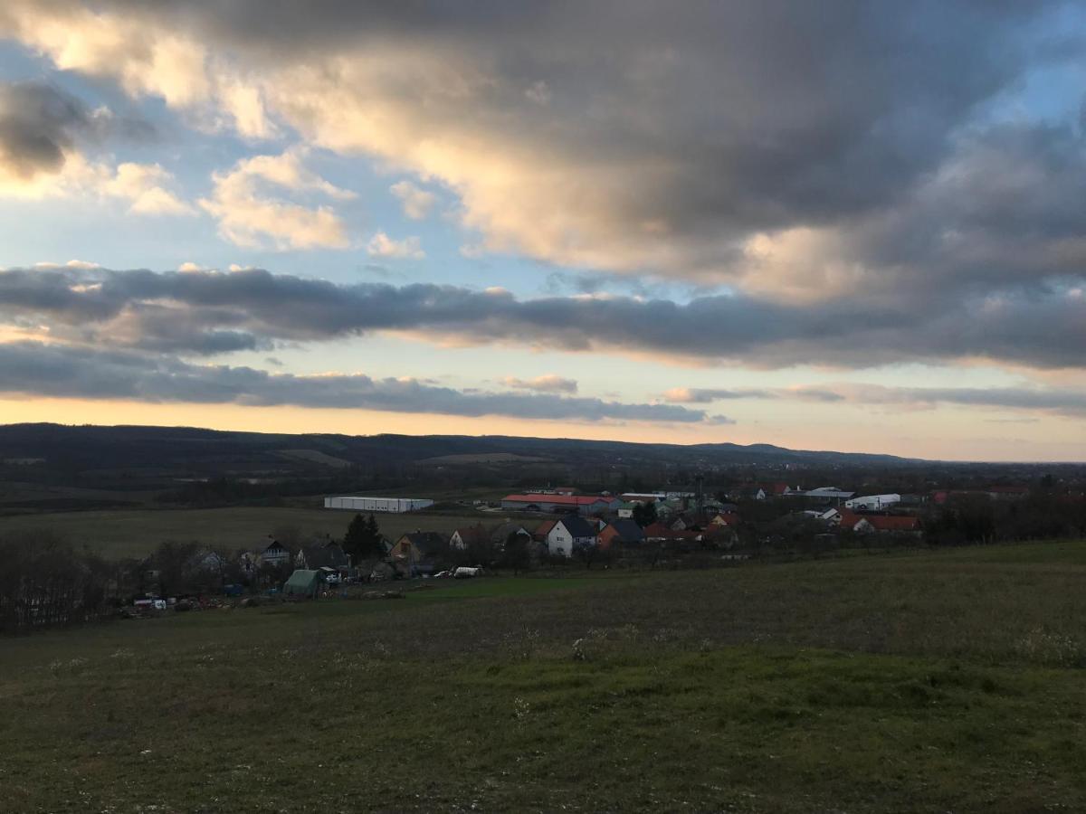 Kolepcsos Vendeghaz * Nyúl